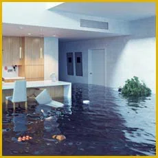 Miami Gardens Restoration Expert Miami Gardens, FL 786-349-3023 Miami Gardens Restoration Expert Miami Gardens, FL 786-349-3023 - sidebar-img-flood